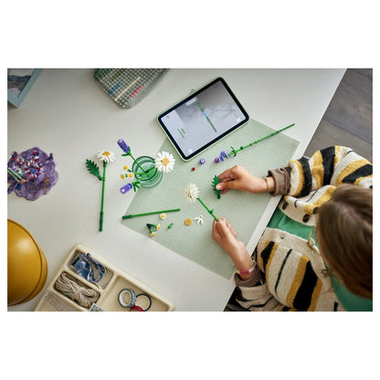 LEGO 11508 Botanicals Gnseblmchen