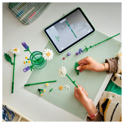 LEGO 11508 Botanicals Gnseblmchen