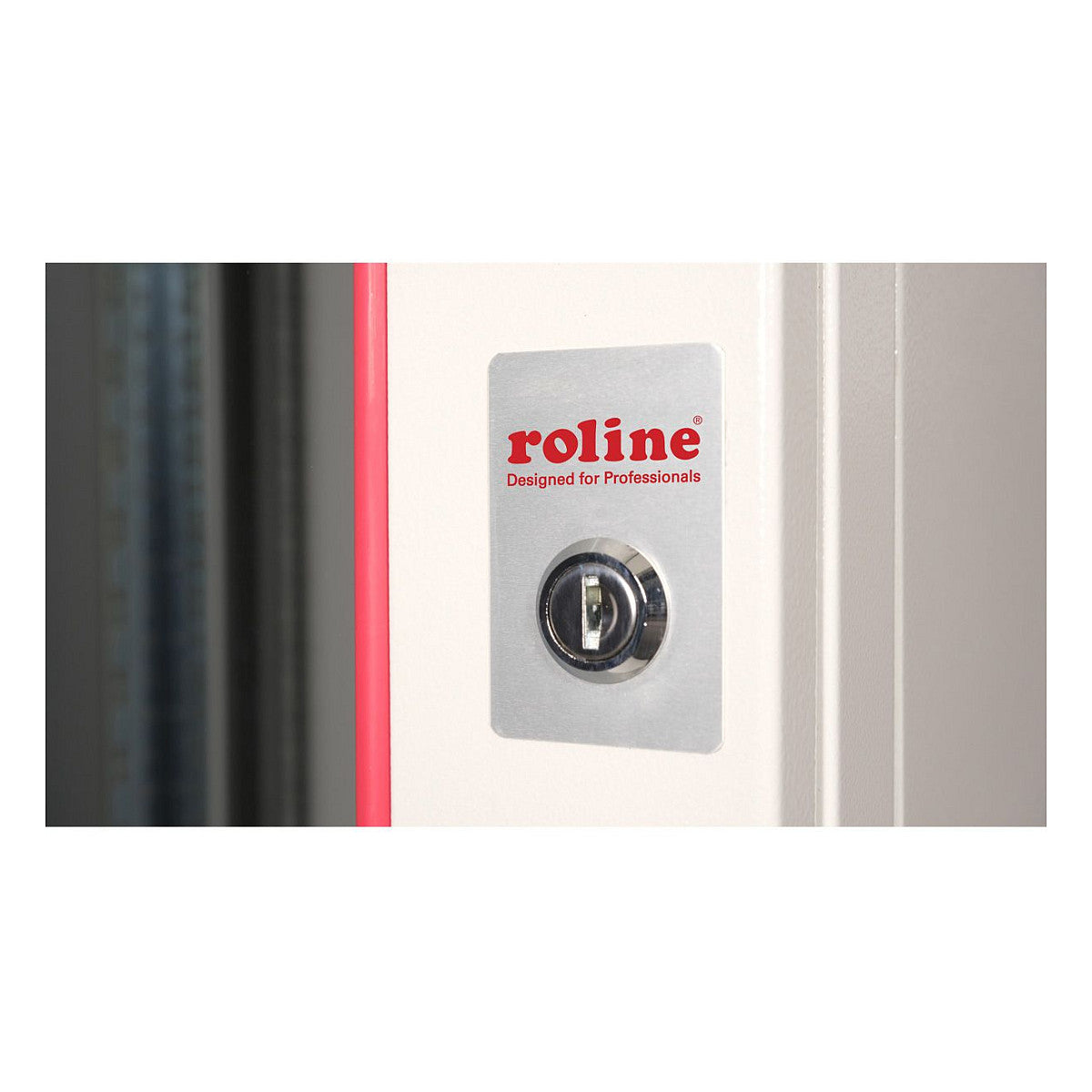 ROLINE 19-Zoll Wandgehuse Pro 9 HE, 600x600 BxT grau