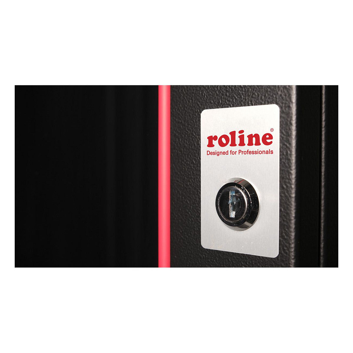 ROLINE 19-Zoll Wandgehuse Pro 9 HE, 600x450 BxT schwarz