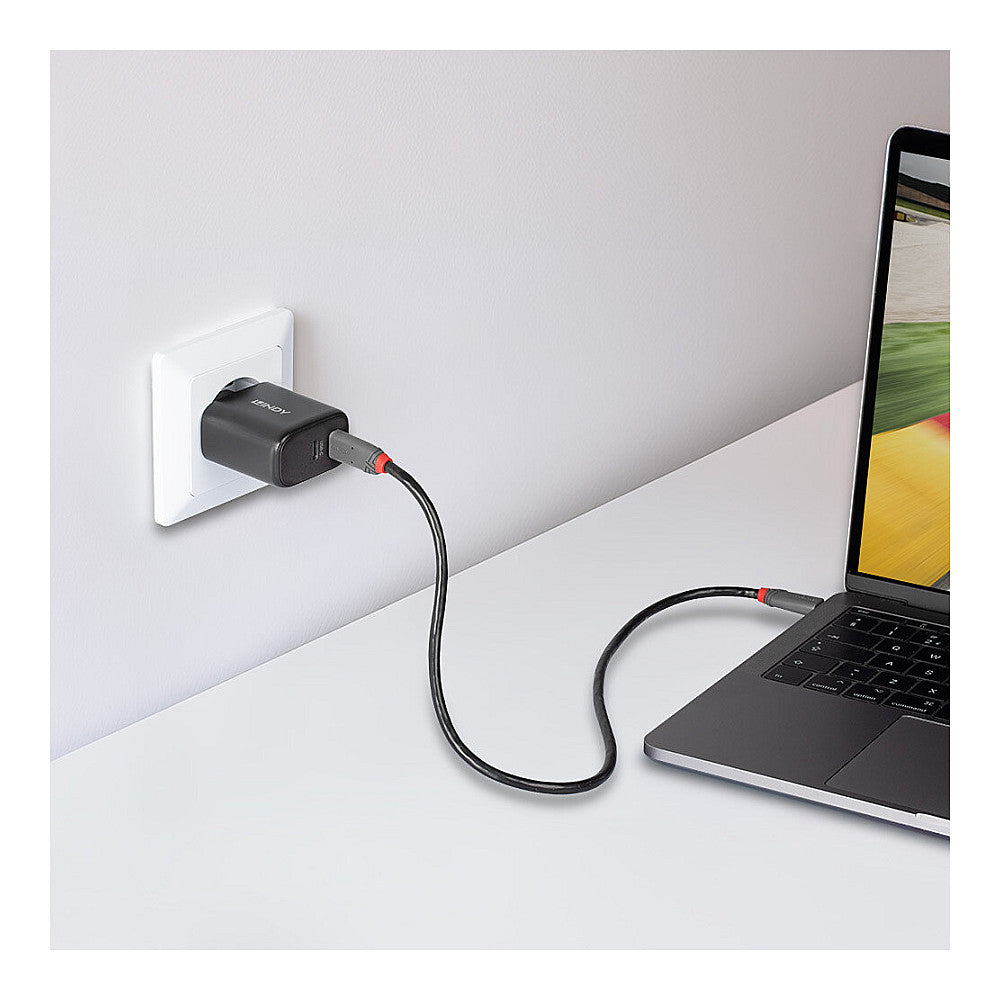 LINDY USB-C Ladegerät 2-Port GaN Charger 65W, schwarz