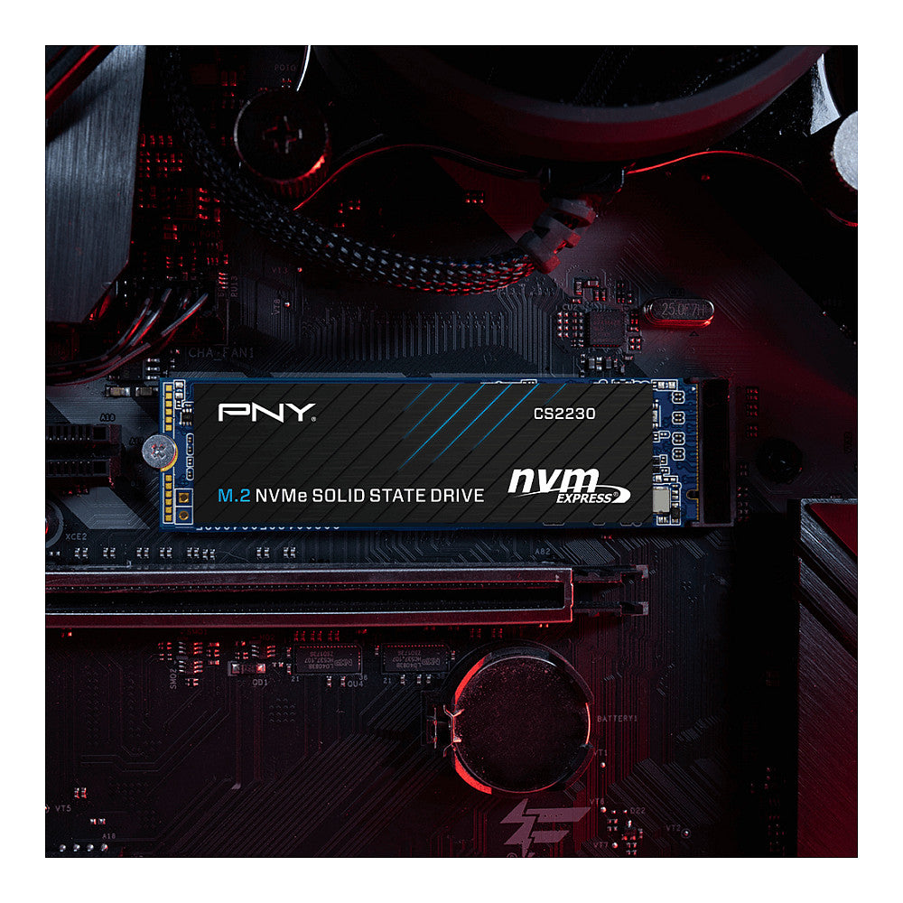 M.2 1TB PNY CS2230 M280CS2230-1TB-RB 0,307 DWPD M.2 2280 PCIe 3.0 x4 (NVMe) SSD 256bit AES