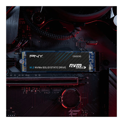 M.2 1TB PNY CS2230 M280CS2230-1TB-RB 0,307 DWPD M.2 2280 PCIe 3.0 x4 (NVMe) SSD 256bit AES
