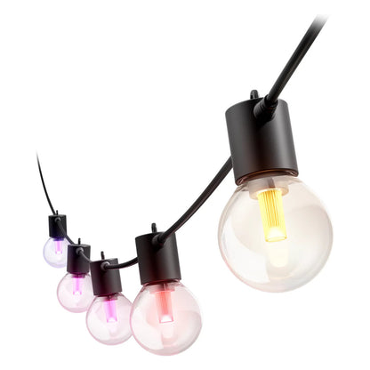Philips Hue Festavia Globe Außenlichterkette, White and Color Ambiance, 14 m Länge, 20 Lampenkugeln, dimmbar, Steuerung per Hue App