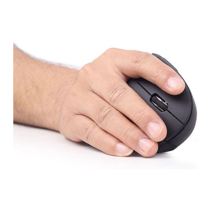 gembird Maus OPT ergonomisch wireless 6-Tasten schwarz