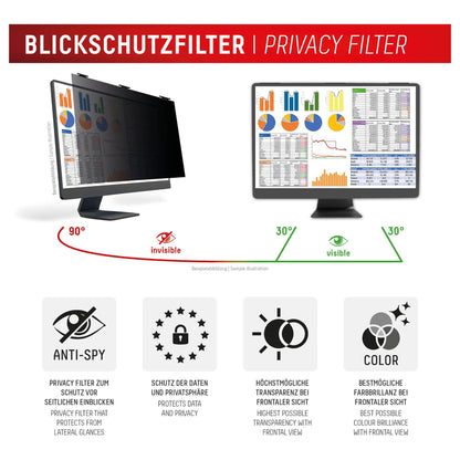 DISPLEX Privacy Safe Desktop Uni 24" (16:10)