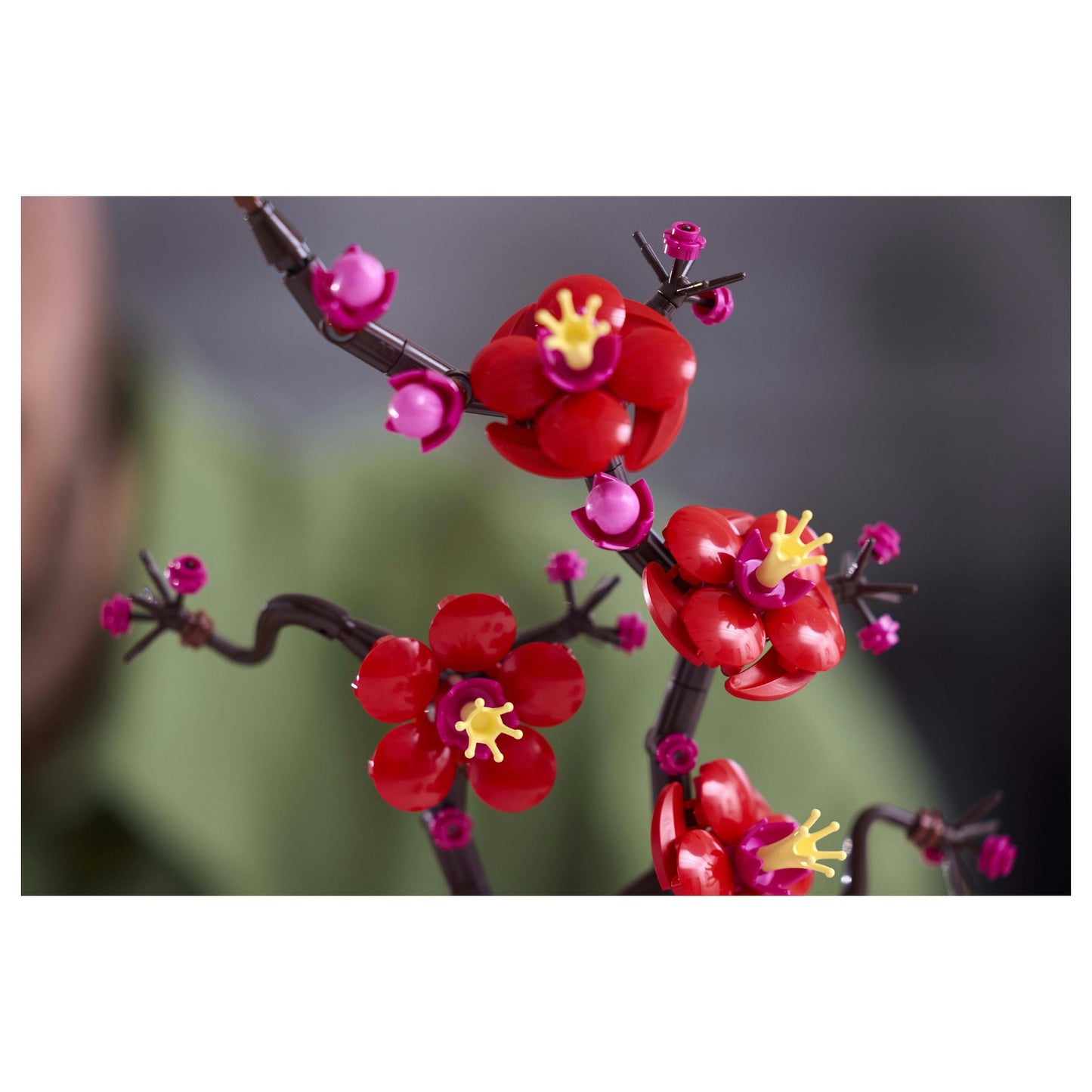 LEGO Icons - Pflaumenblüte