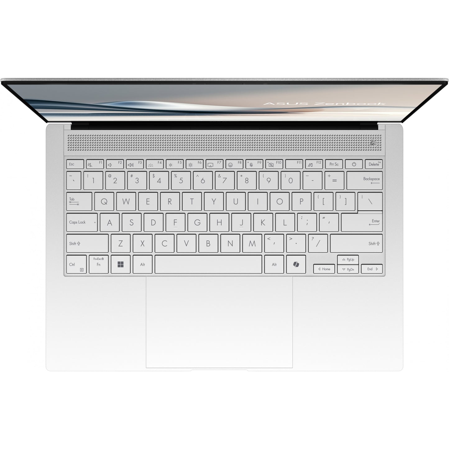 ASUS ZenBook S 14 U7-258V 32 1TB UX5406SA-PV030W W11H