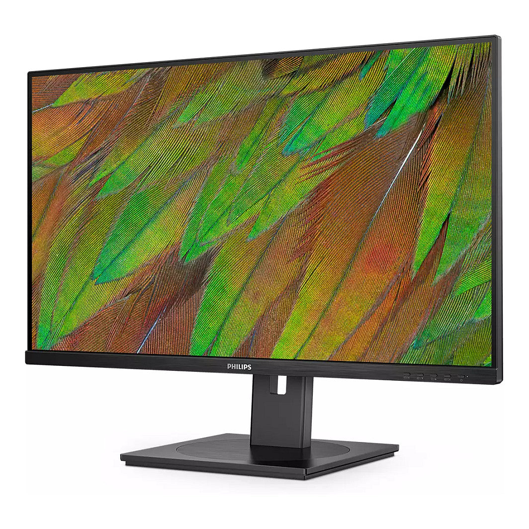 Philips 80.0cm (31.5") 32B1N3800 16:09 HDMI+DP+USB black