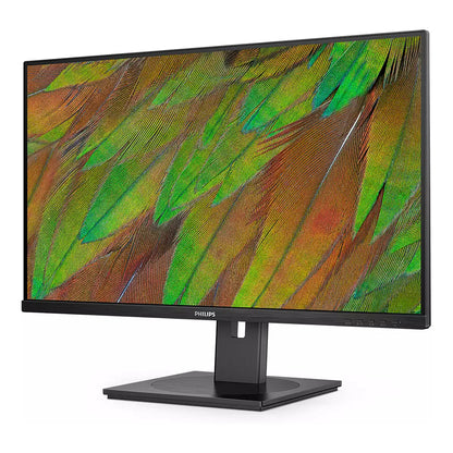 Philips 80.0cm (31.5") 32B1N3800 16:09 HDMI+DP+USB black