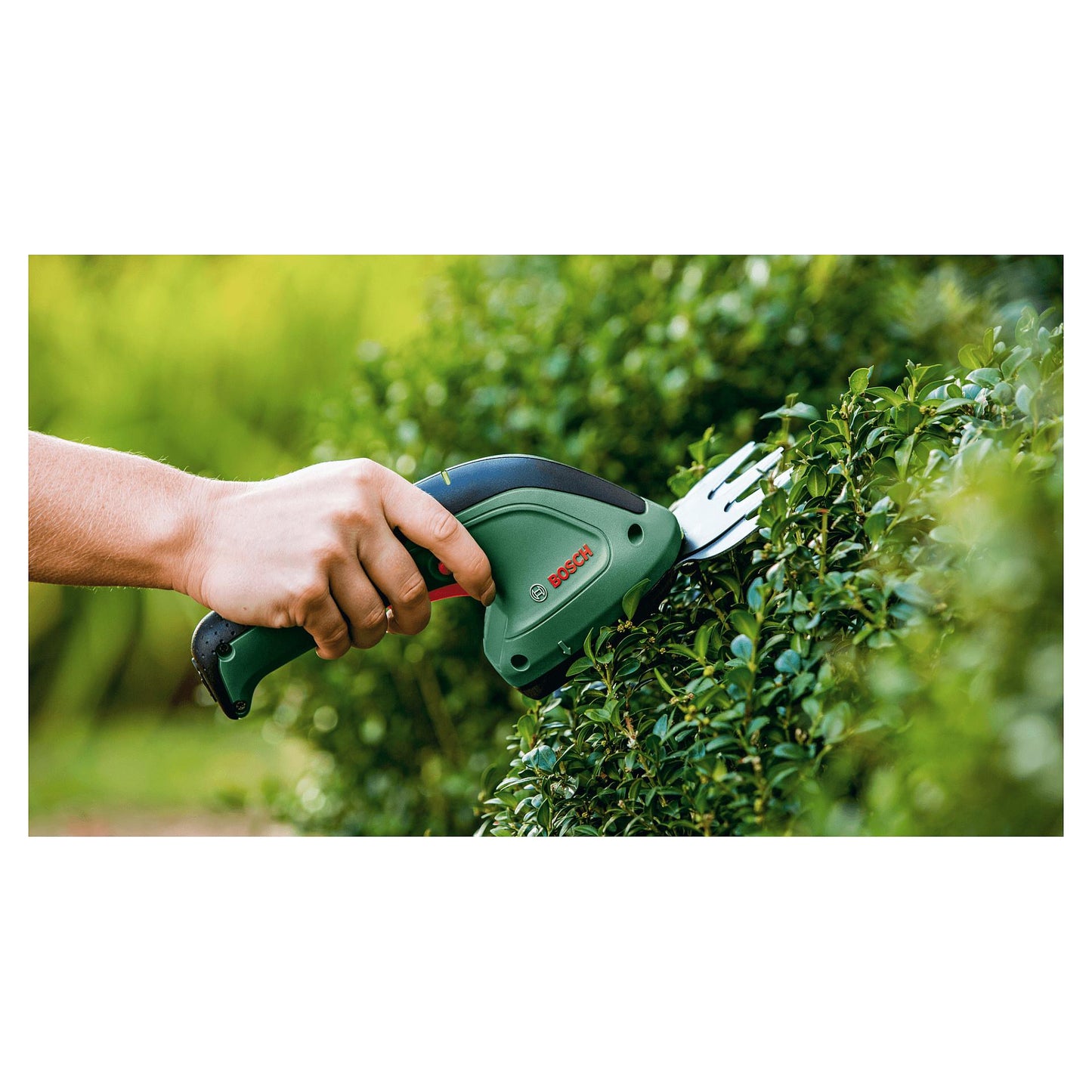 Bosch EasyShear Akku-Strauchschere
