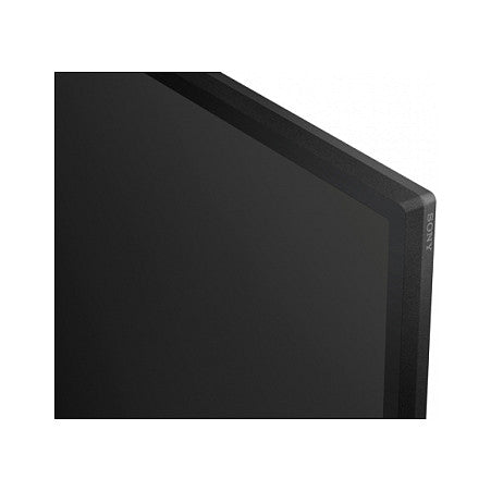 FW-65BZ30L 65INCH PRO