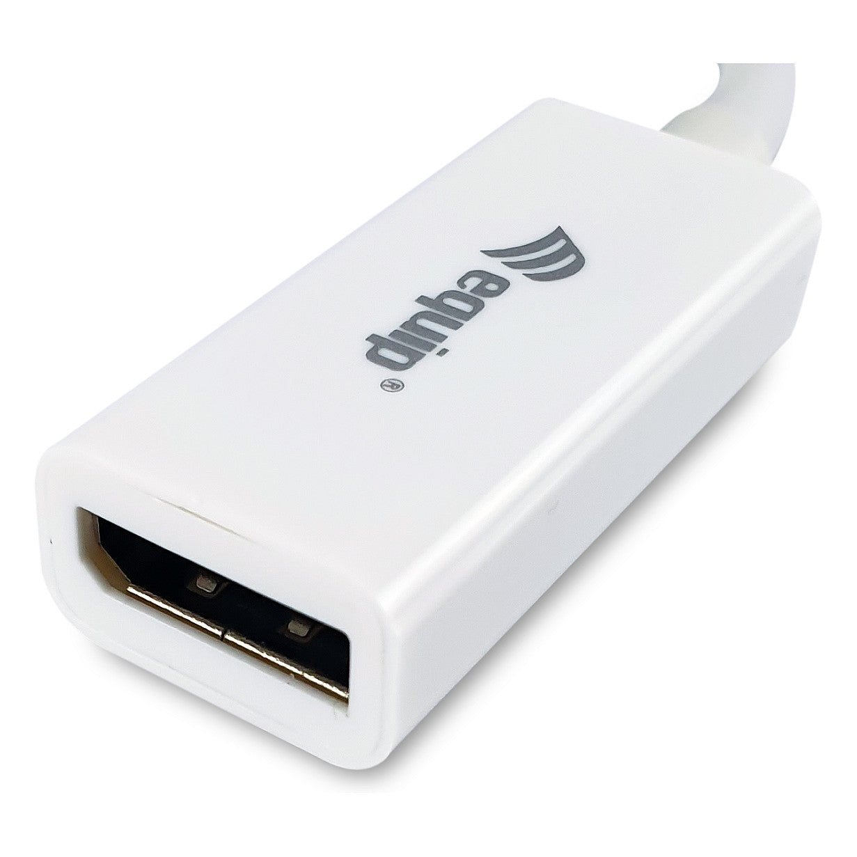 Equip Mini DisplayPort->DisplayPort Adapter St/Bu 4K/60Hz ws