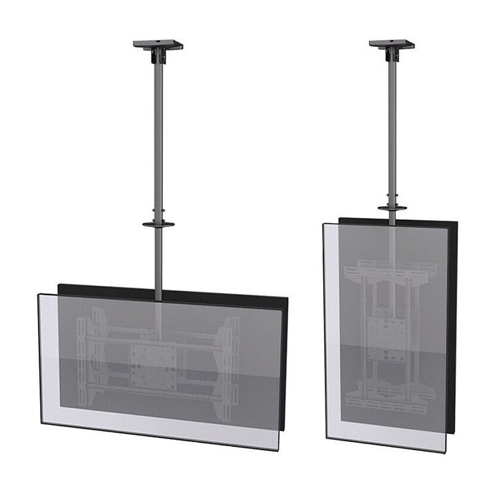 Equip Deckenhalterung 39"-75"/2TFT je 40kg 2Gelenke neig. sw lite Retail