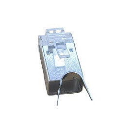 Equip Stecker Cat.8 RJ45 geschirmt 50er Set grau