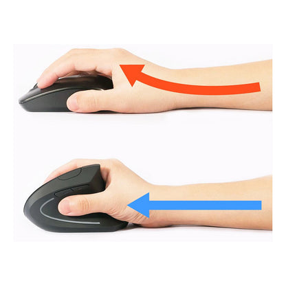 Equip Optische Ergonomic Maus kabellos USB Rechtshänder sw