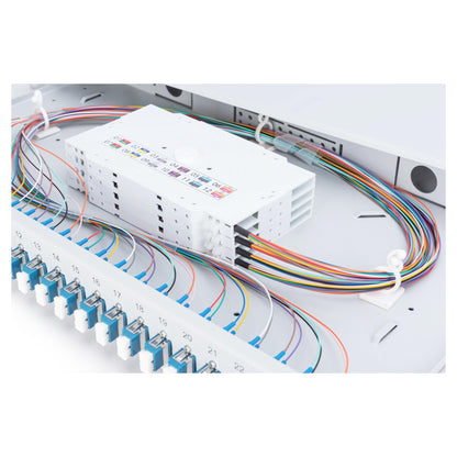 DIGITUS LWL Spleißbox 1HE bestückt 24x LC DX OM4 grau