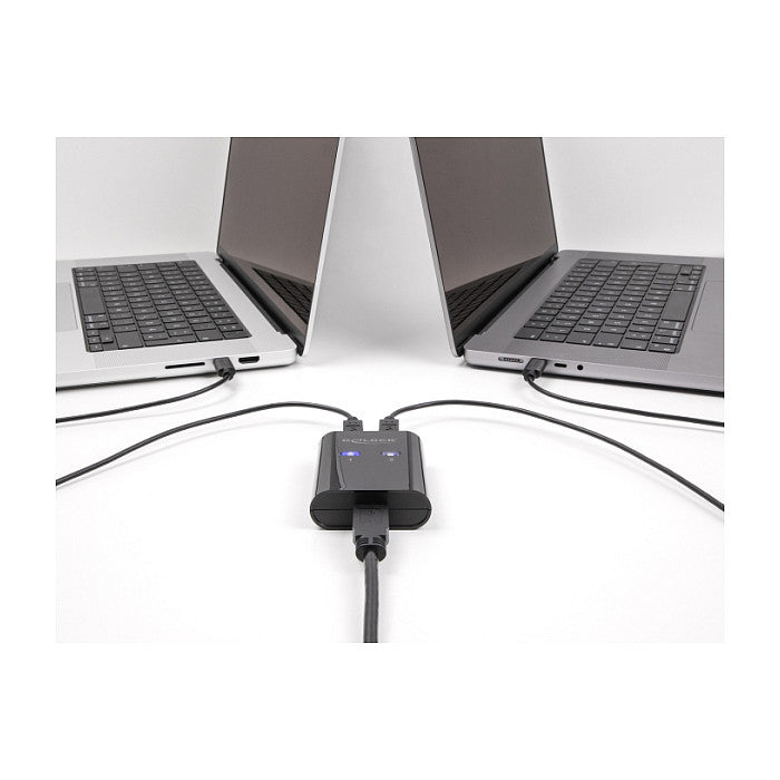 DELOCK USB 2.0 Switch für 2 PC an 1 Gerät