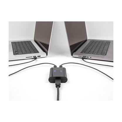 DELOCK USB 2.0 Switch für 2 PC an 1 Gerät