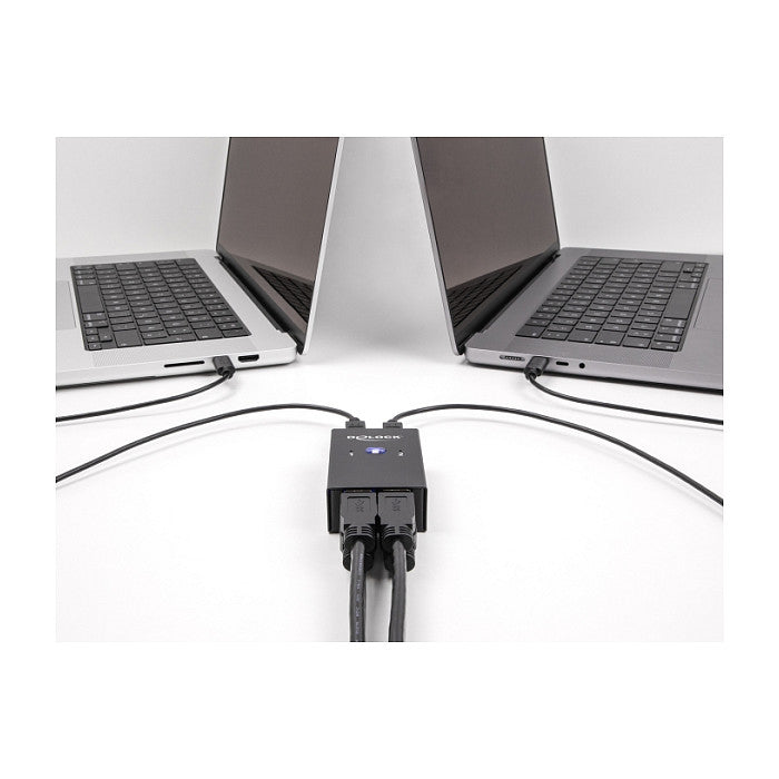 DELOCK USB 2.0 Switch für 2 PC an 4 Geräten