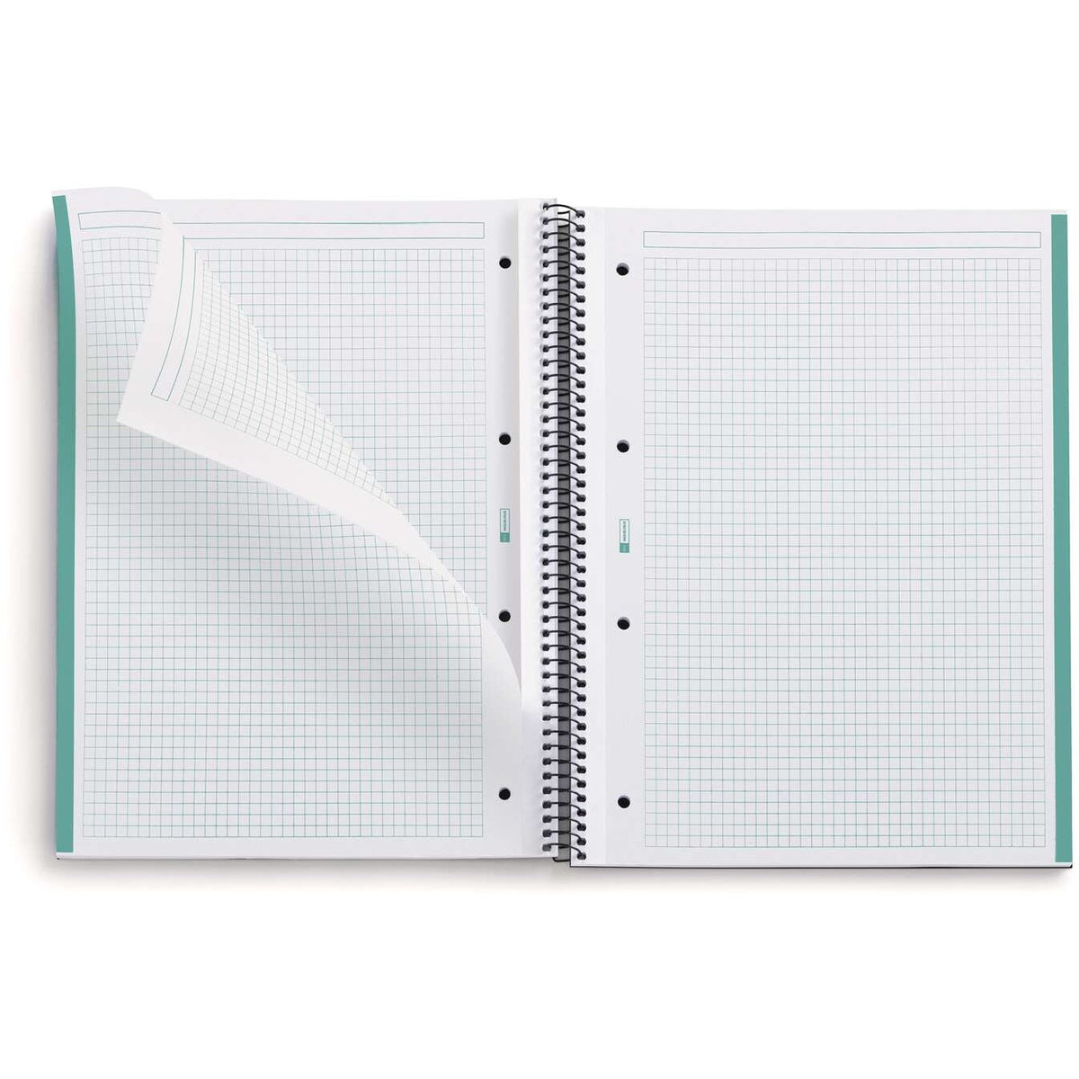 Eco Emotions Collegeblock DIN A4 kariert mint