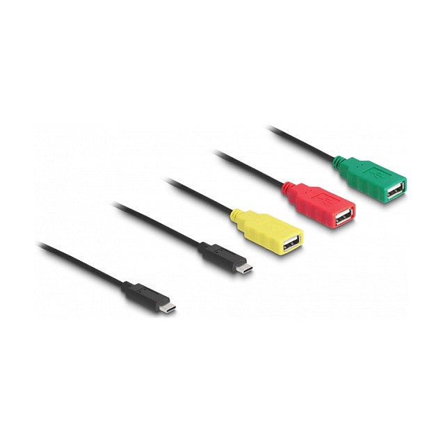 DELOCK 4 Port USB 2.0 Kabel-Hub mit USB Type-C zu 3 x USB-A Buchse + 1 x USB-C Stecker
