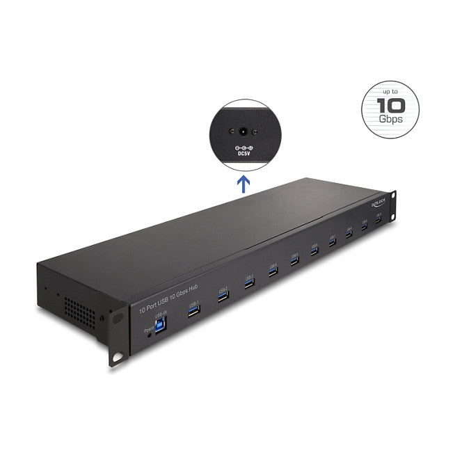 DELOCK 48.26cm 19Zoll Industrie Hub 10 x USB 10 Gbps Typ-A