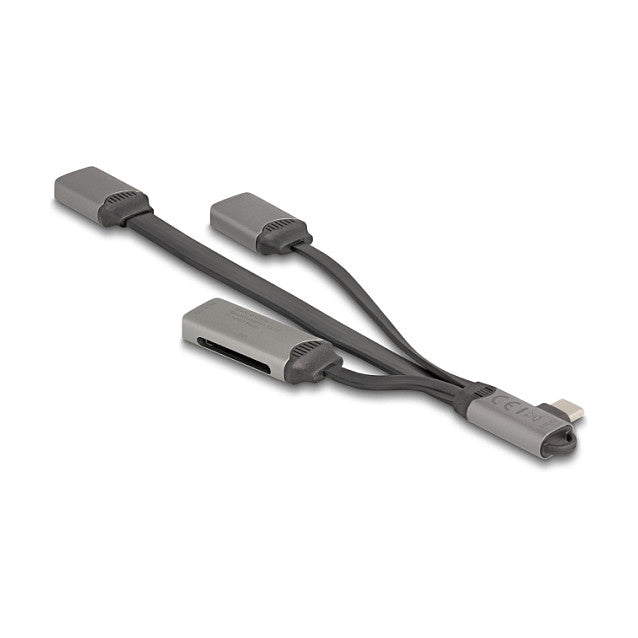 DELOCK 2 Port USB Hub inklusive SD und Micro SD Card Reader mit USB Type-C Anschluss