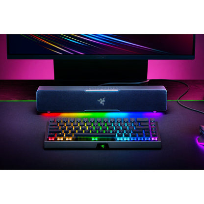 Razer Leviathan V2 X