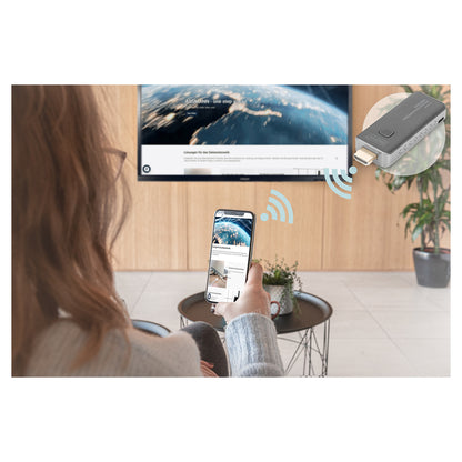 Digitus Click & Present Mini - Wireless Presentation System