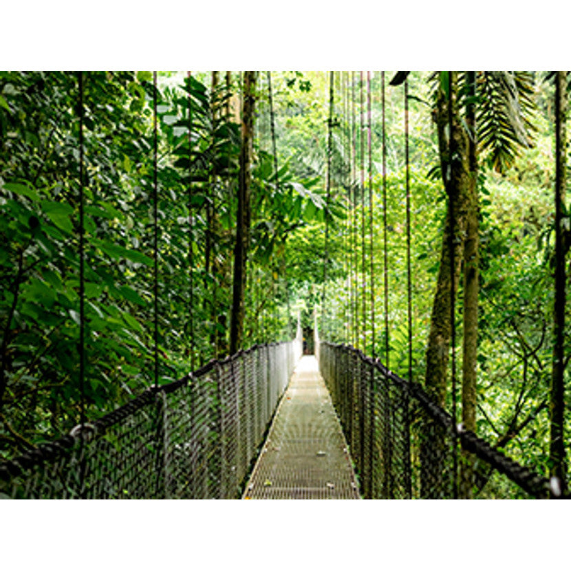 HP EliteBook 6 G1a AMD Ryzen 7 250 35.56cm 14Zoll WUXGA 16GB 512GB/SSD W11P SmartBuy 1J Gar (DE)