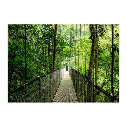 HP EliteBook 6 G1a AMD Ryzen 7 250 35.56cm 14Zoll WUXGA 16GB 512GB/SSD W11P SmartBuy 1J Gar (DE)