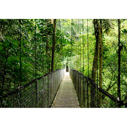 HP EliteBook 6 G1i Intel Core Ultra 7 255U 35.56cm 14Zoll WUXGA 32GB 1TB/SSD W11P SmartBuy 1J Gar (DE)