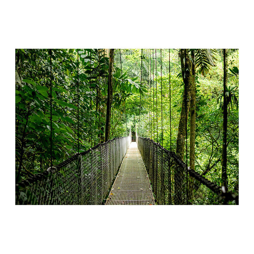 HP EliteBook 6 G1i CU5 225U/16GB/512SSD/W11Pro SmartBuy 1J Gar (DE)