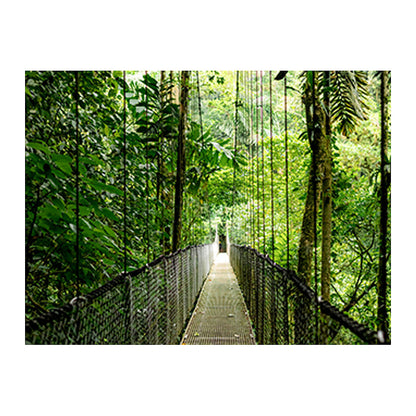 HP EliteBook 6 G1i Intel Core Ultra 7 255U 40.64cm 16Zoll WUXGA 32GB 1TB/SSD W11P SmartBuy 1J Gar (DE)