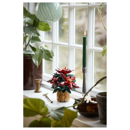 LEGO 10370 Icons Weihnachtsstern