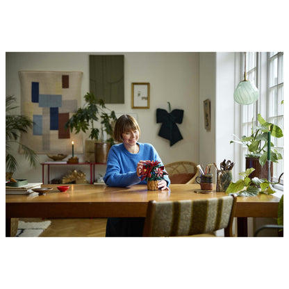LEGO 10370 Icons Weihnachtsstern