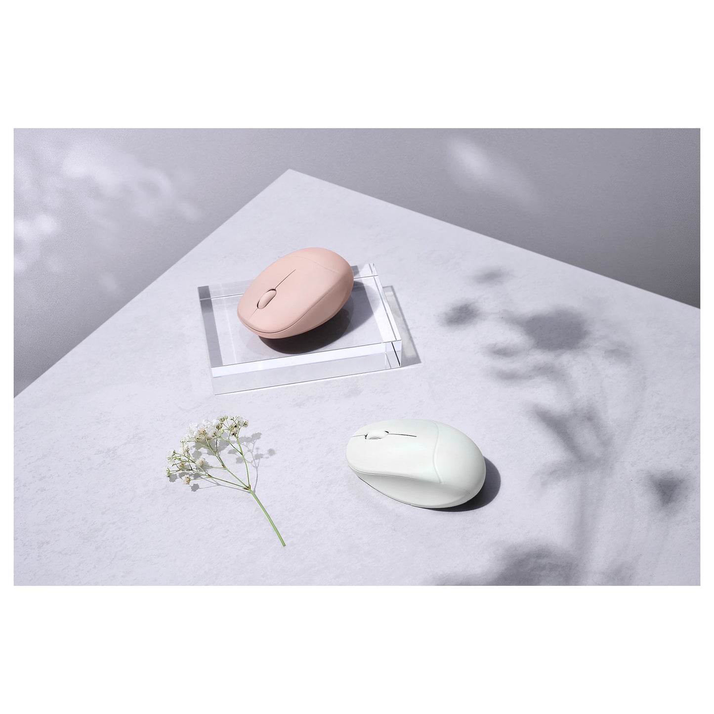 Asus MD101 MOUSE/PK
