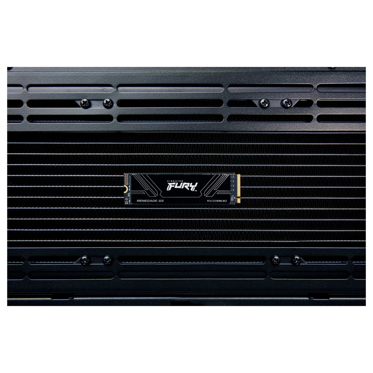 M.2 4TB FURY RENEGADE G5 2280