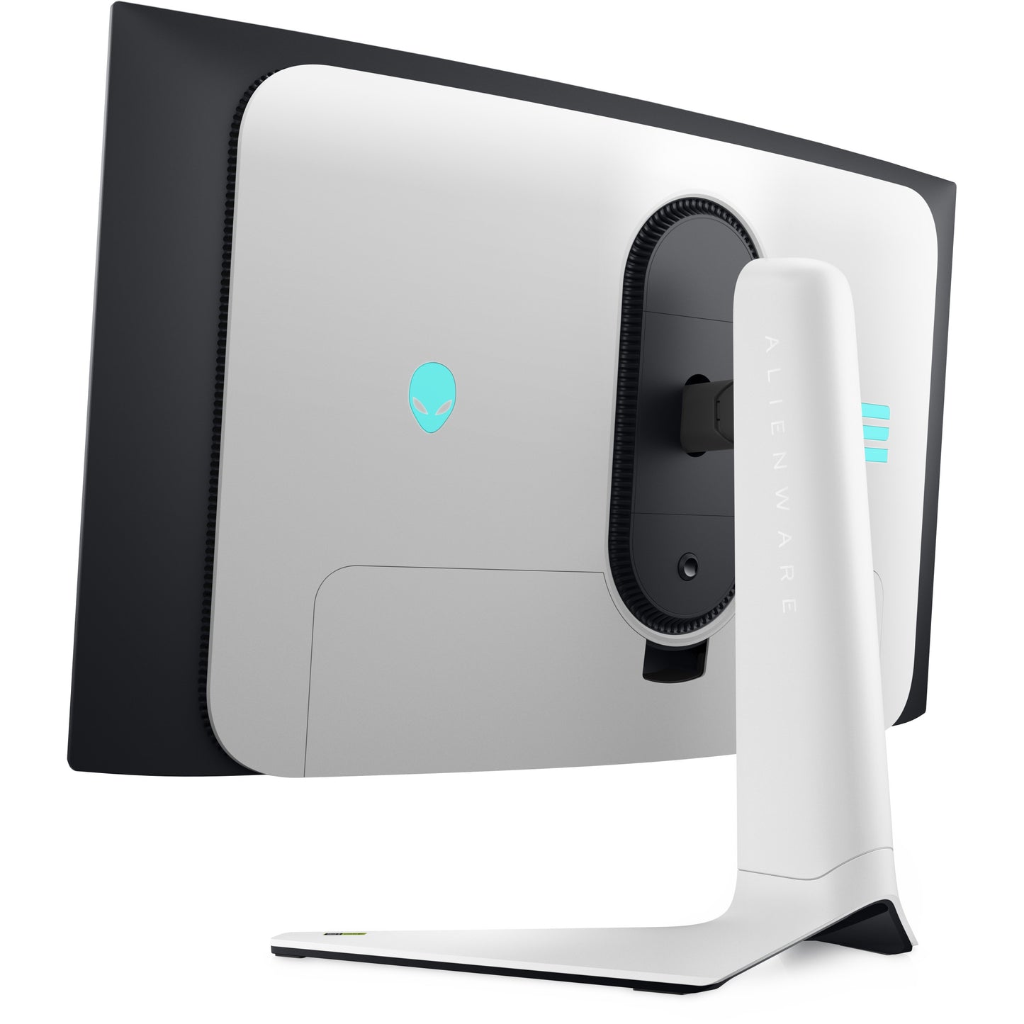 DELL Alienware 32 4K QD-OLED Gaming Monitor AW3225QF 80.26cm 31.6Zoll 3840x2160 16:9 240Hz HDMI DP USB