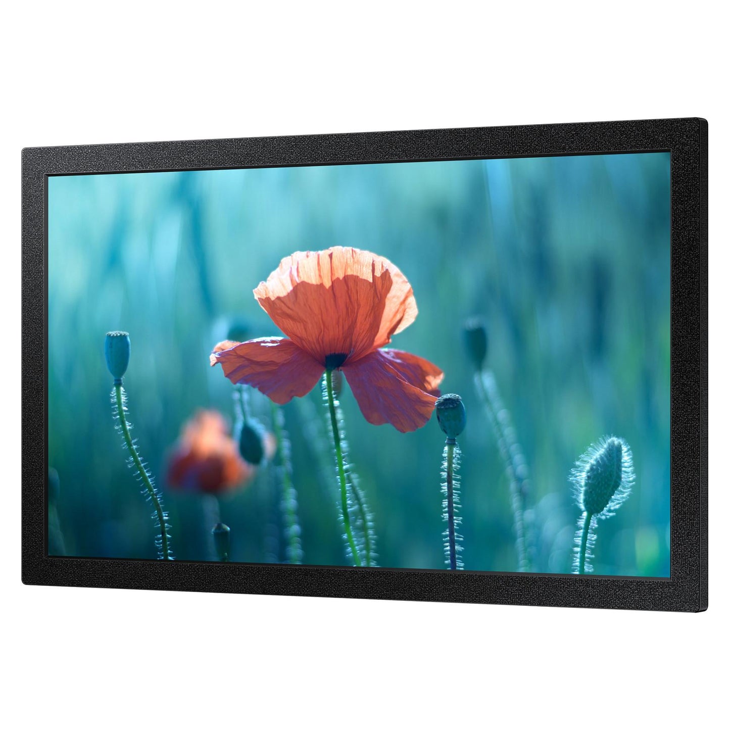 Samsung Smart Signage QB13C 33,02cm(13")