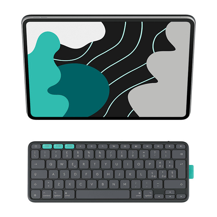 Logitech Flip Folio - Graphite - DEU