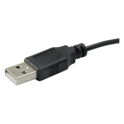 CONCEPTRONIC Optical Desktop Maus schwarz