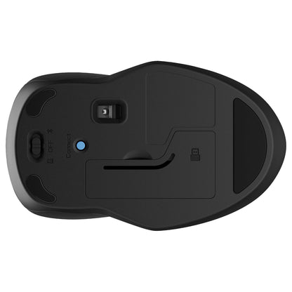HP 250 Maus kabellos schwarz