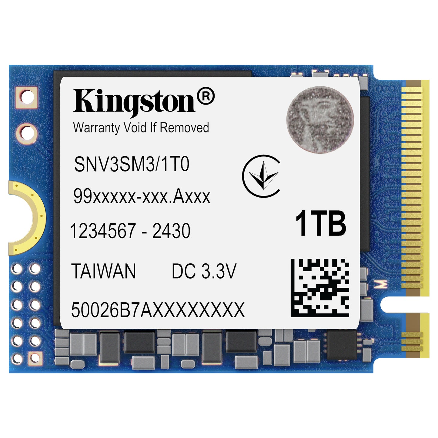 M.2 1000G NV3 2230