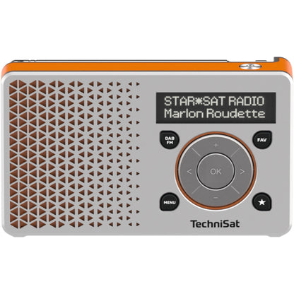 Technisat DigitRadio 1 silber/orange
