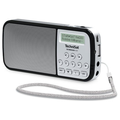 Technisat TechniRadio RDR silber