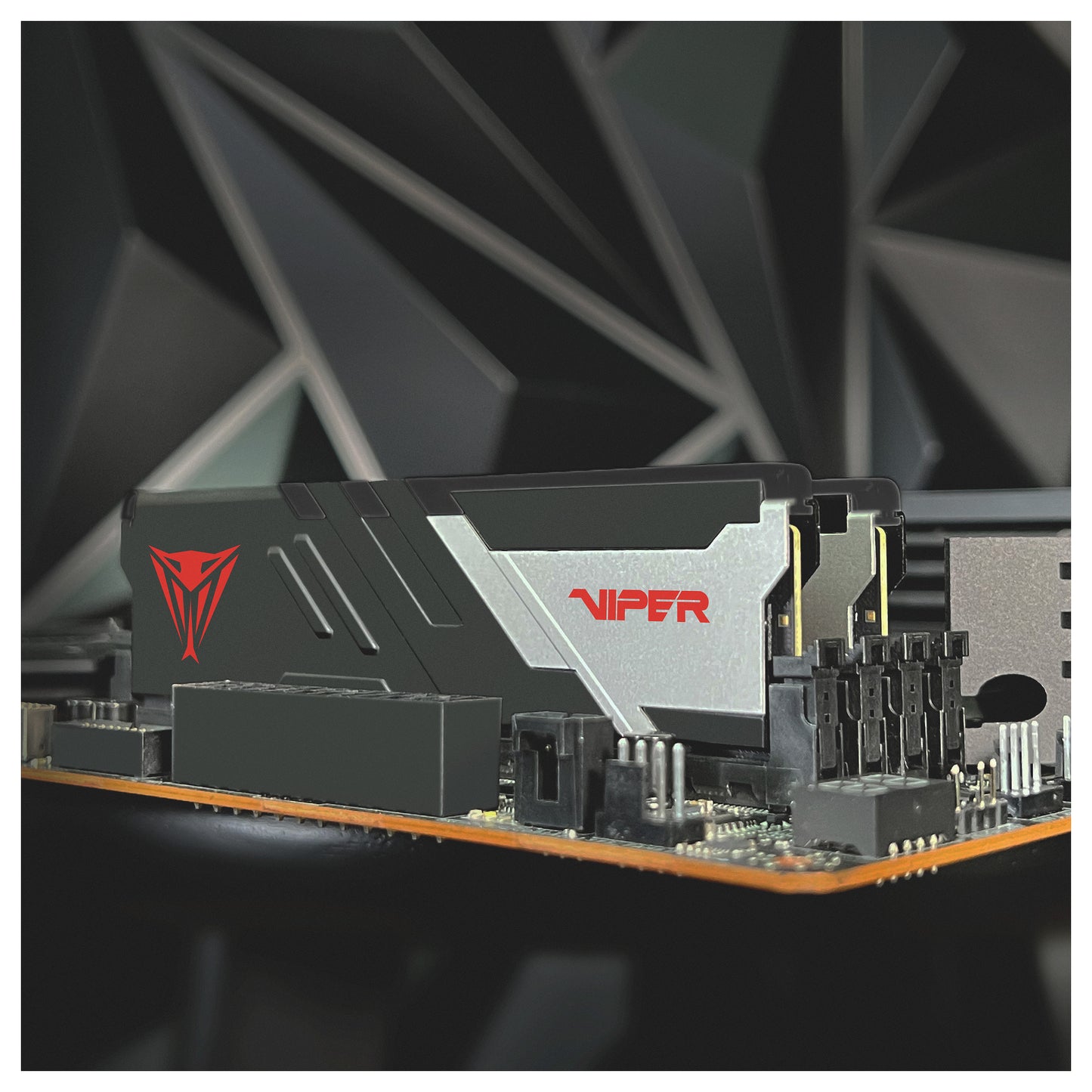 32 GB Patriot DIMM 6400 (2x 16 GB) Dual-Kit (schwarz, PVV532G640C32K, Viper Venom, INTEL XMP)