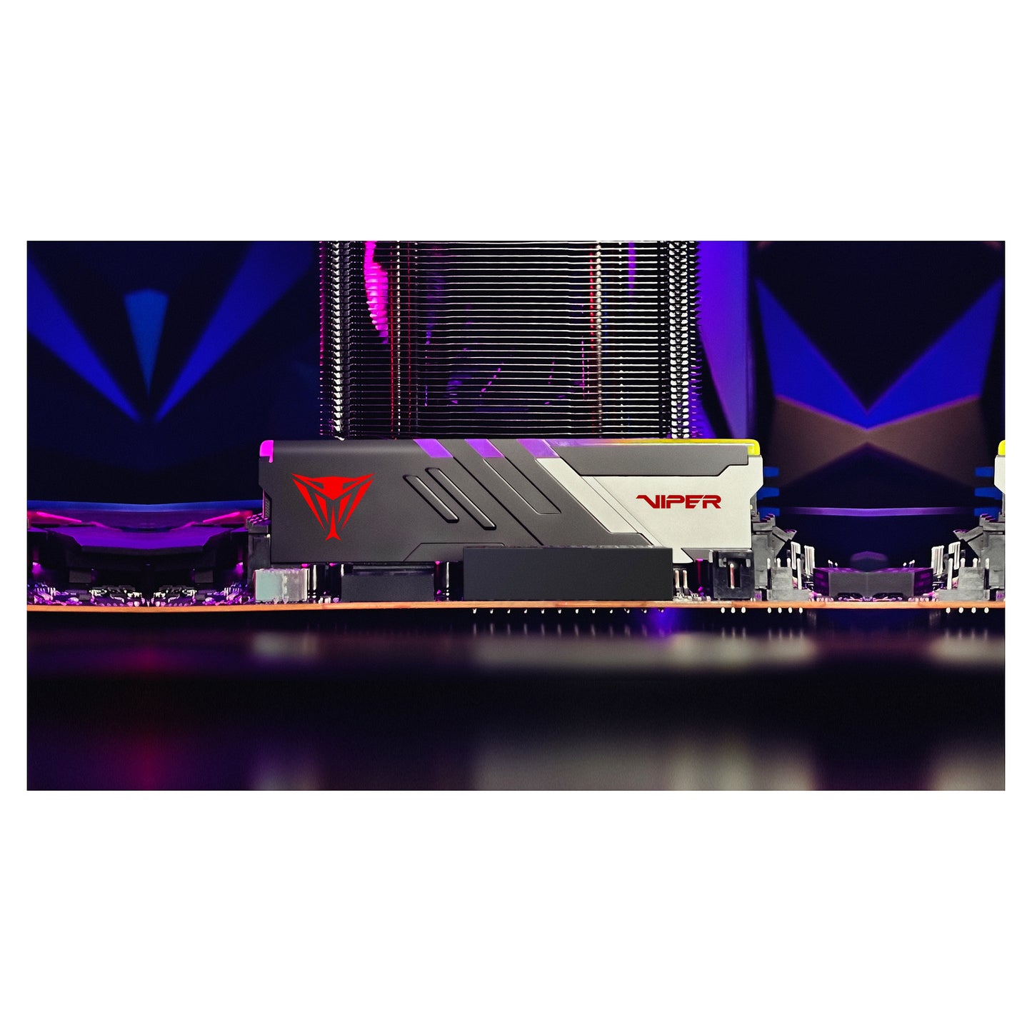 32 GB Patriot DIMM 6000 (2x 16 GB) Dual-Kit (schwarz, PVVR532G600C30K, Viper Venom RGB, INTEL XMP, AMD EXPO)