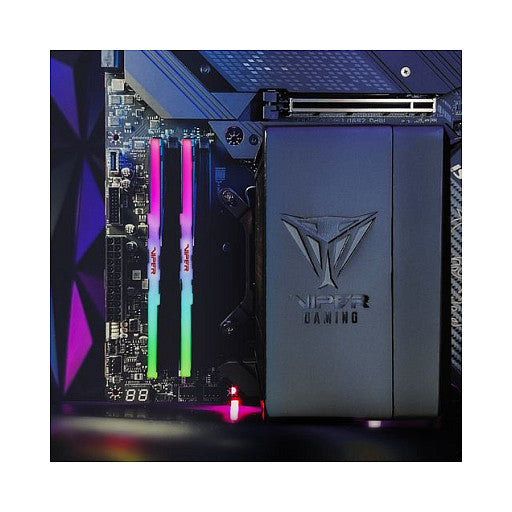 64 GB Patriot DIMM 5600 (2x 32 GB) Dual-Kit (schwarz, PVVR564G560C40K, Viper Venom RGB, INTEL XMP)